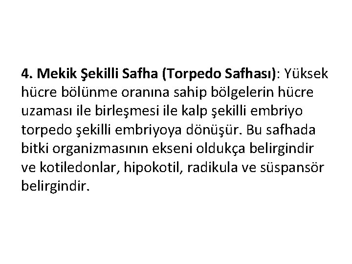 4. Mekik Şekilli Safha (Torpedo Safhası): Yüksek hücre bölünme oranına sahip bölgelerin hücre uzaması