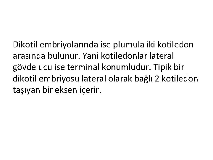 Dikotil embriyolarında ise plumula iki kotiledon arasında bulunur. Yani kotiledonlar lateral gövde ucu ise