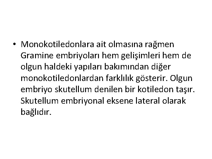  • Monokotiledonlara ait olmasına rağmen Gramine embriyoları hem gelişimleri hem de olgun haldeki