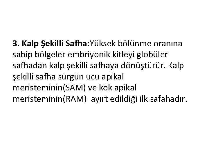 3. Kalp Şekilli Safha: Yüksek bölünme oranına sahip bölgeler embriyonik kitleyi globüler safhadan kalp