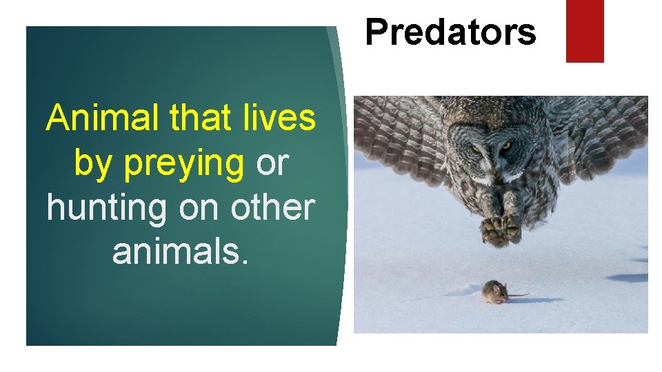 Predators Animal that lives by preying or hunting on other animals. 