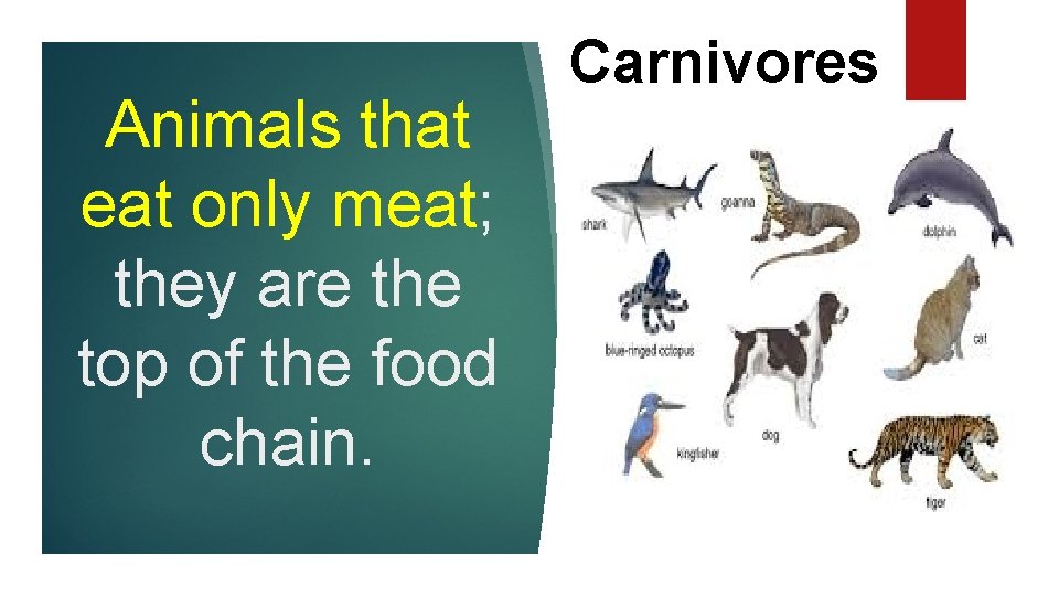 Animals that eat only meat; they are the top of the food chain. Carnivores