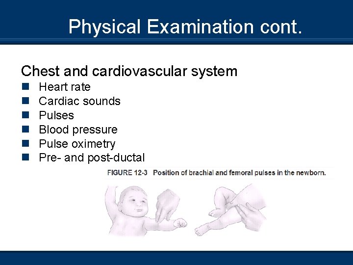 Physical Examination cont. Chest and cardiovascular system n n n Heart rate Cardiac sounds
