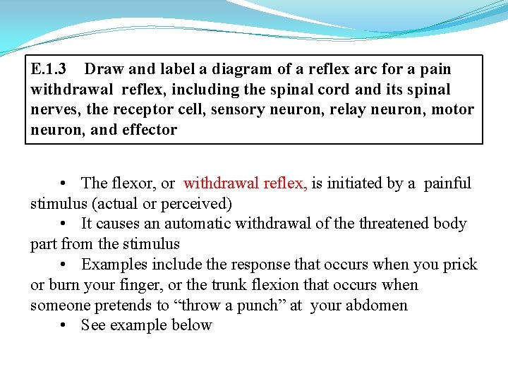 E. 1. 3 Draw and label a diagram of a reflex arc for a