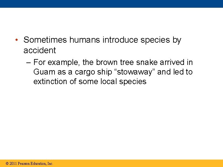  • Sometimes humans introduce species by accident – For example, the brown tree