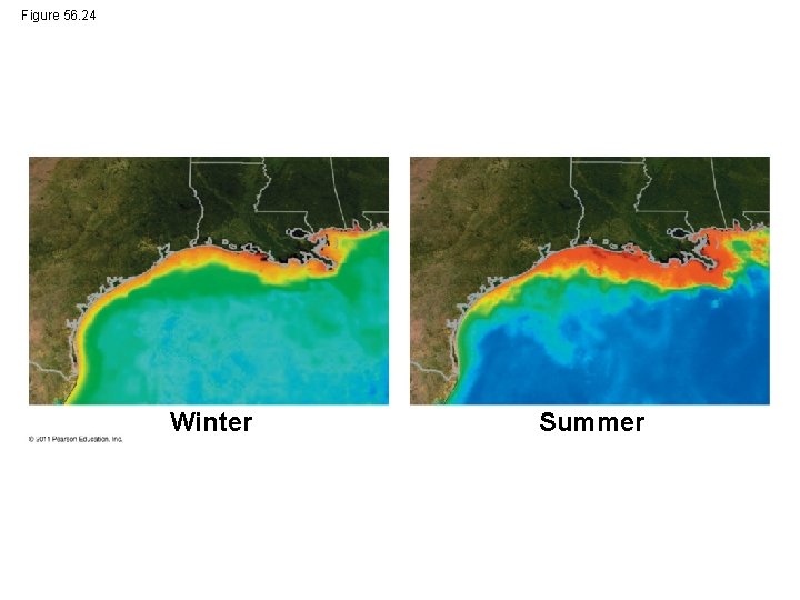 Figure 56. 24 Winter Summer 