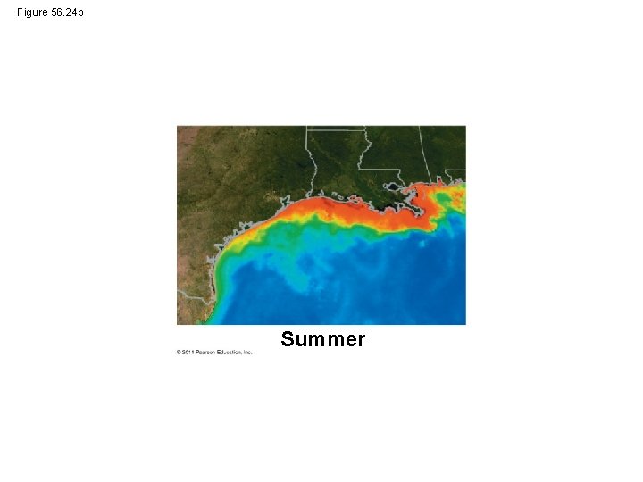 Figure 56. 24 b Summer 