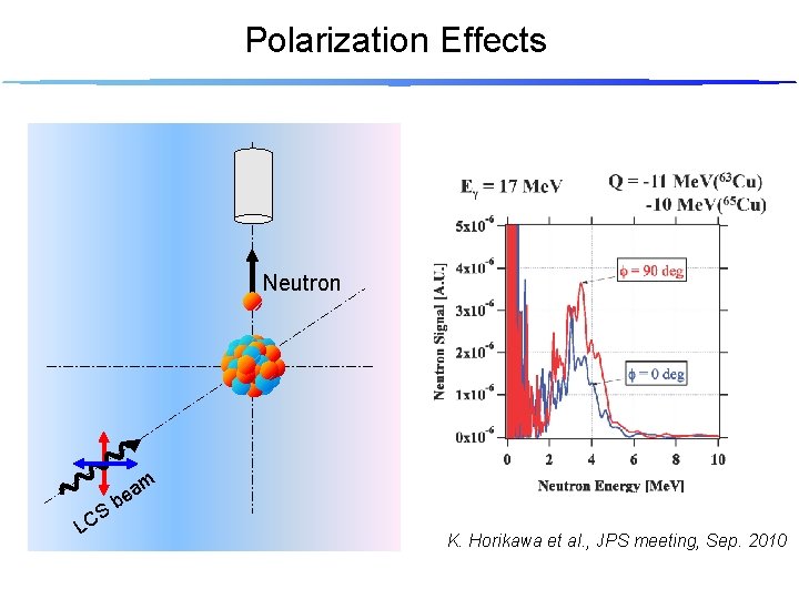 Polarization Effects Neutron m S LC a be K. Horikawa et al. , JPS