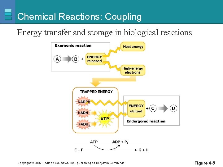 Chemical Reactions: Coupling Energy transfer and storage in biological reactions Copyright © 2007 Pearson