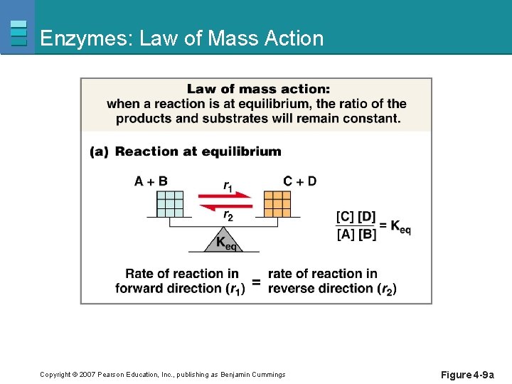Enzymes: Law of Mass Action Copyright © 2007 Pearson Education, Inc. , publishing as