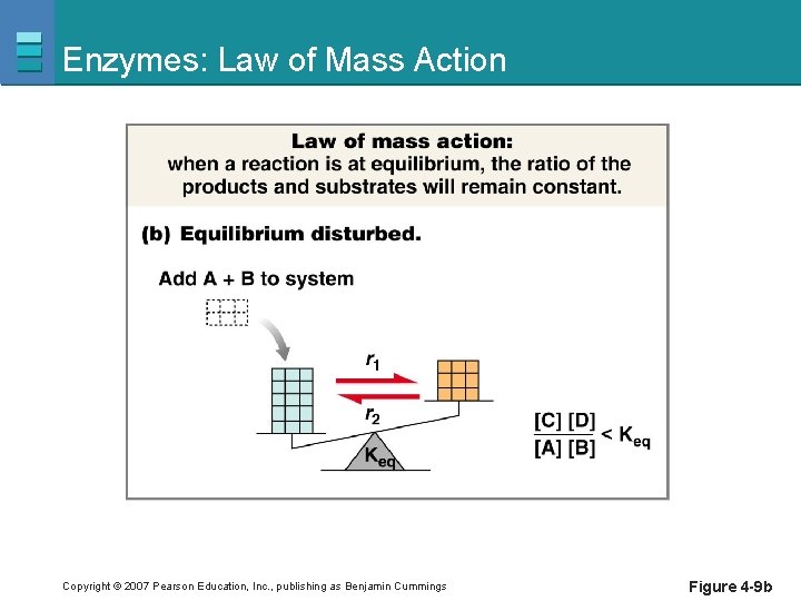 Enzymes: Law of Mass Action Copyright © 2007 Pearson Education, Inc. , publishing as