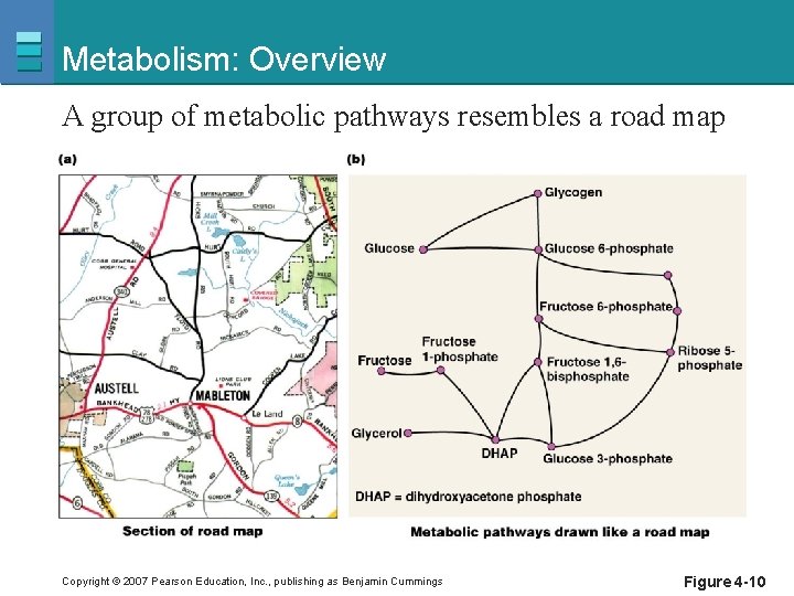 Metabolism: Overview A group of metabolic pathways resembles a road map Copyright © 2007