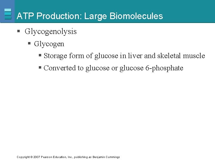 ATP Production: Large Biomolecules § Glycogenolysis § Glycogen § Storage form of glucose in