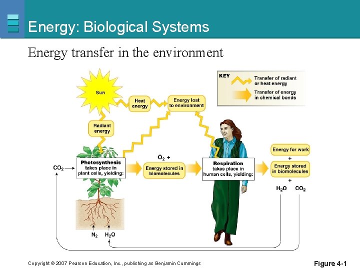 Energy: Biological Systems Energy transfer in the environment Copyright © 2007 Pearson Education, Inc.