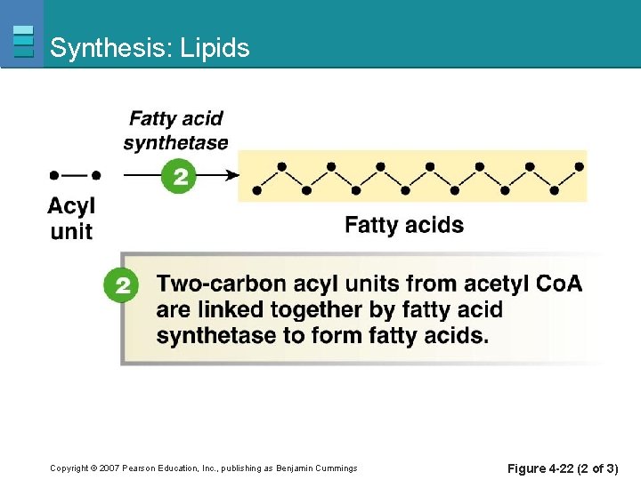 Synthesis: Lipids Copyright © 2007 Pearson Education, Inc. , publishing as Benjamin Cummings Figure