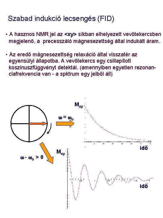 Szabad indukció lecsengés (FID) • A hasznos NMR jel az <xy> síkban elhelyezett vevőtekercsben