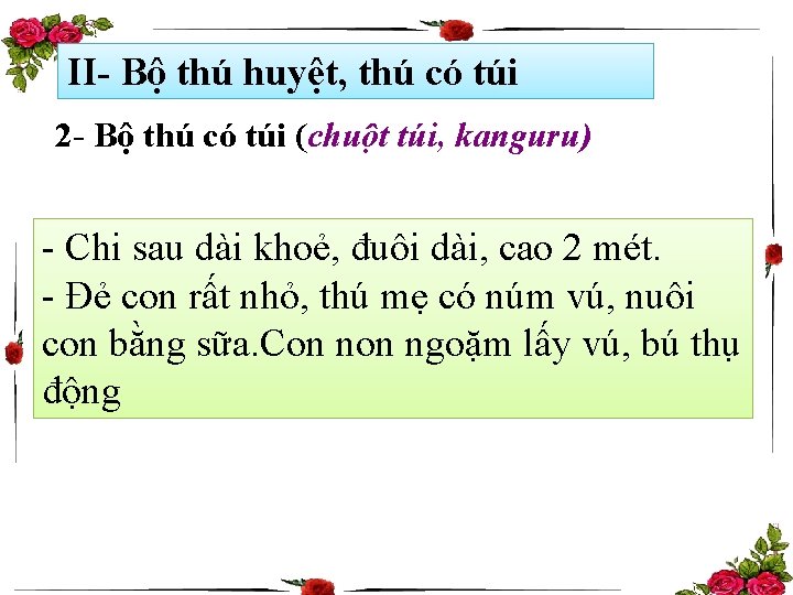 II- Bộ thú huyệt, thú có túi 2 - Bộ thú có túi (chuột