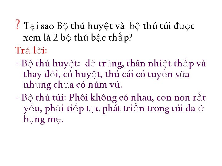 ? Tại sao Bộ thú huyệt và bộ thú túi được xem là 2
