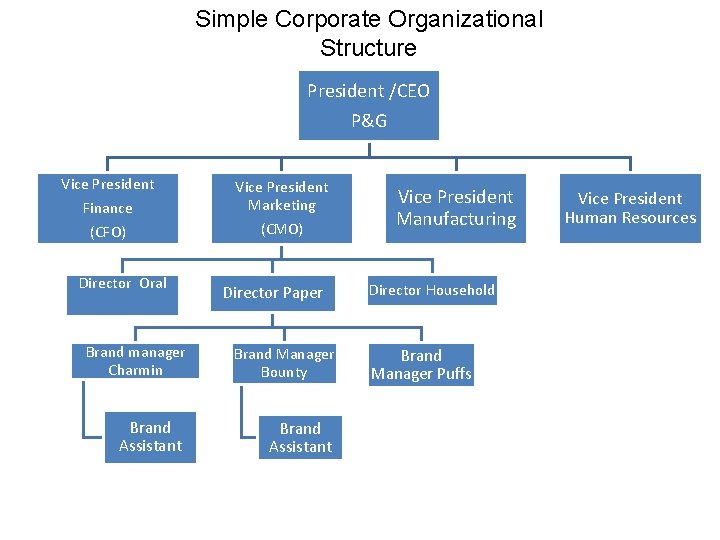 Simple Corporate Organizational Structure President /CEO P&G Vice President Finance Vice President Marketing (CFO)