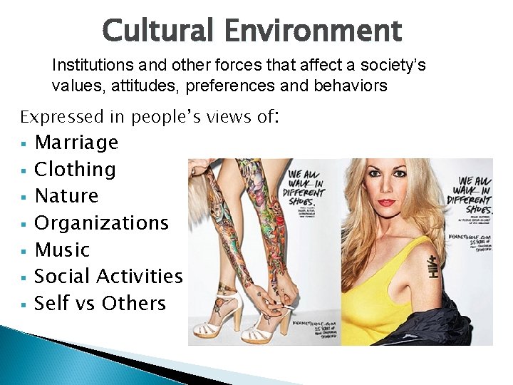 Cultural Environment Institutions and other forces that affect a society’s values, attitudes, preferences and