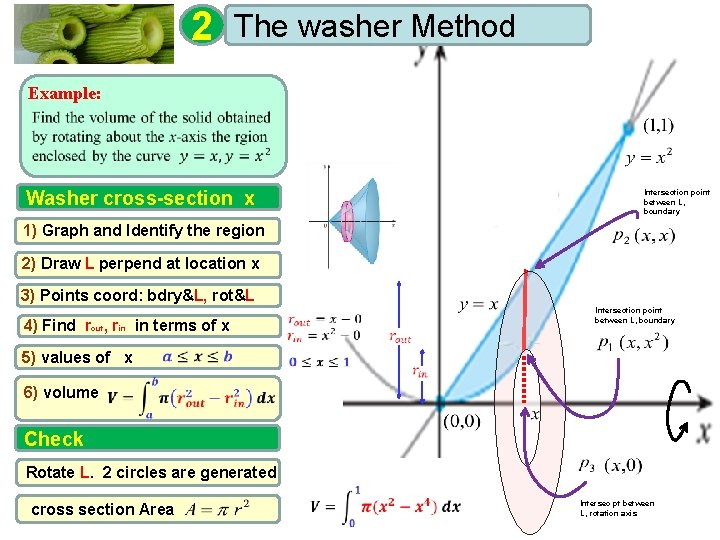 2 The washer Method Example: Washer cross-section x Intersection point between L, boundary 1)