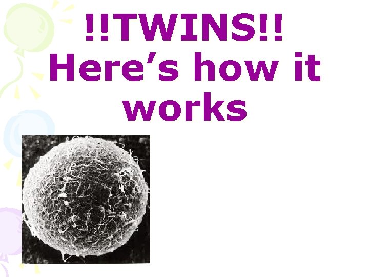 !!TWINS!! Here’s how it works 