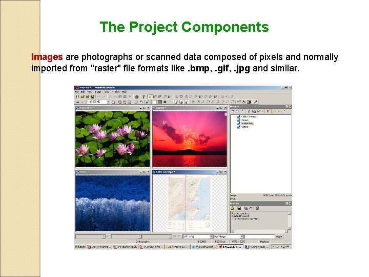 The Project Components Images are photographs or scanned data composed of pixels and normally