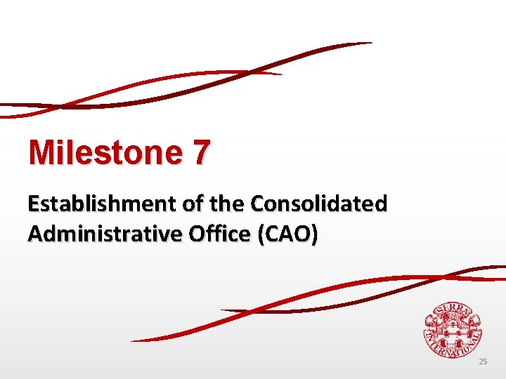 Milestone 7 Establishment of the Consolidated Administrative Office (CAO) 25 