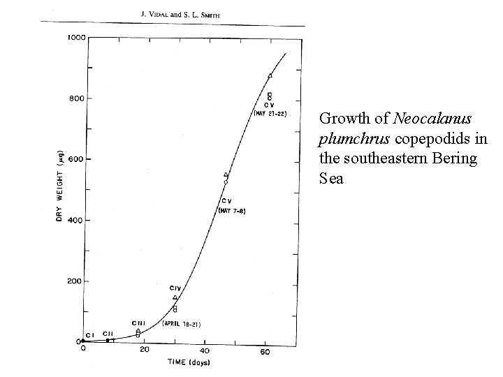 Growth of Neocalanus plumchrus copepodids in the southeastern Bering Sea 