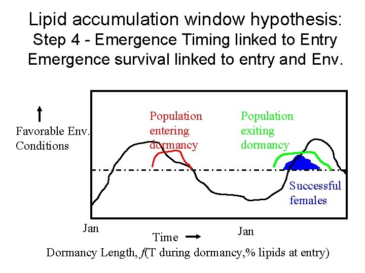 Lipid accumulation window hypothesis: Step 4 - Emergence Timing linked to Entry Emergence survival