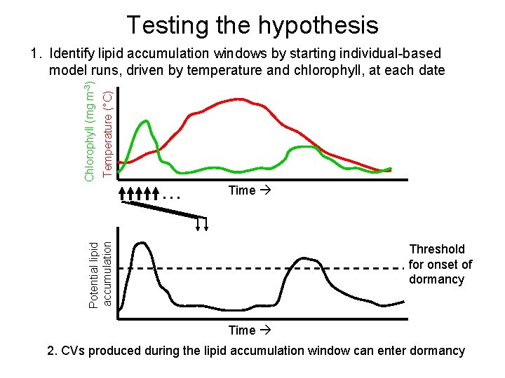 Testing the hypothesis Temperature (°C) … Time Potential lipid accumulation Chlorophyll (mg m-3) 1.