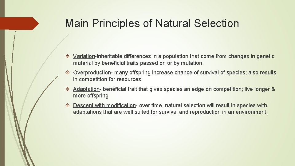 Main Principles of Natural Selection Variation-inheritable differences in a population that come from changes