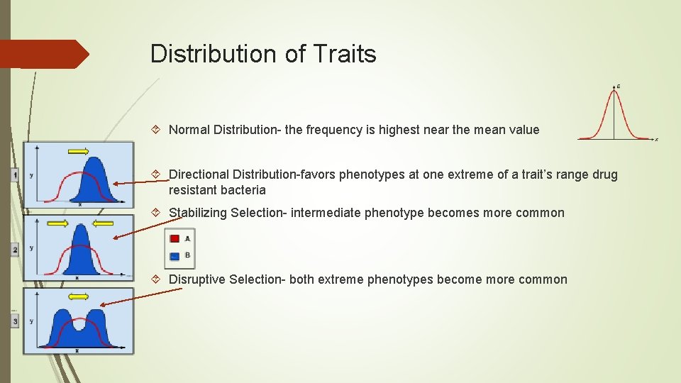 Distribution of Traits Normal Distribution- the frequency is highest near the mean value Directional