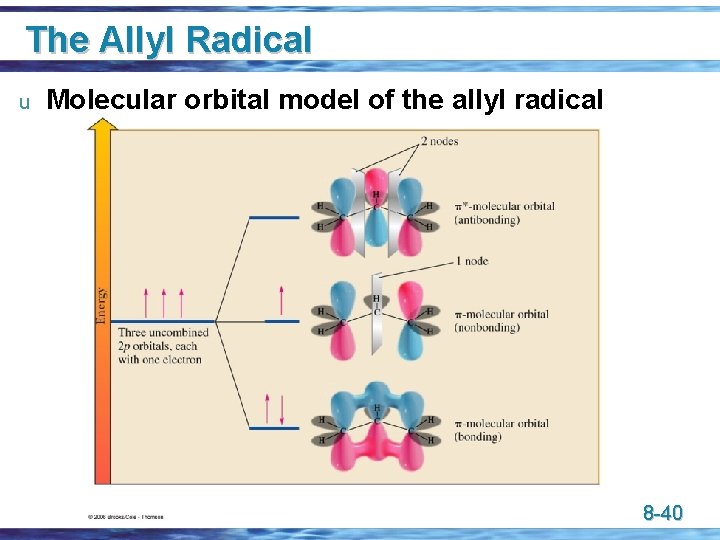 The Allyl Radical u Molecular orbital model of the allyl radical 8 -40 