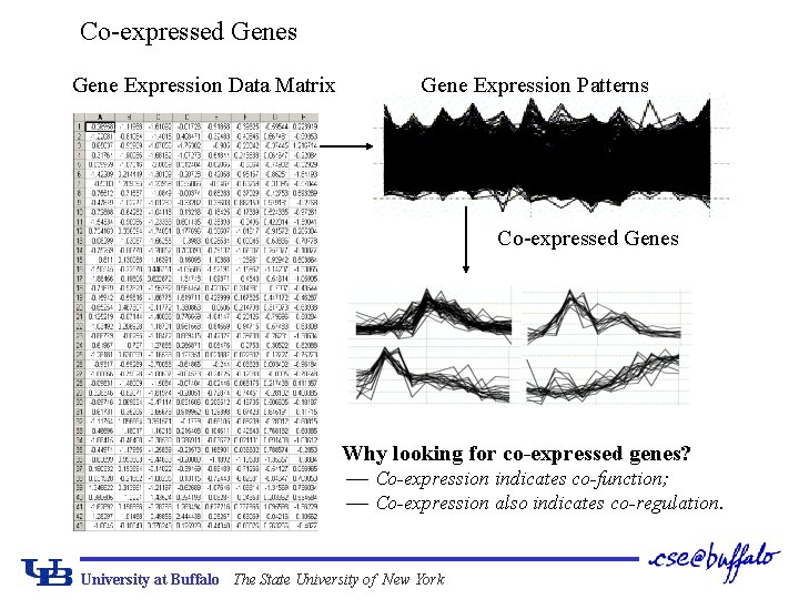 Co-expressed Genes Gene Expression Data Matrix Gene Expression Patterns Co-expressed Genes Why looking for