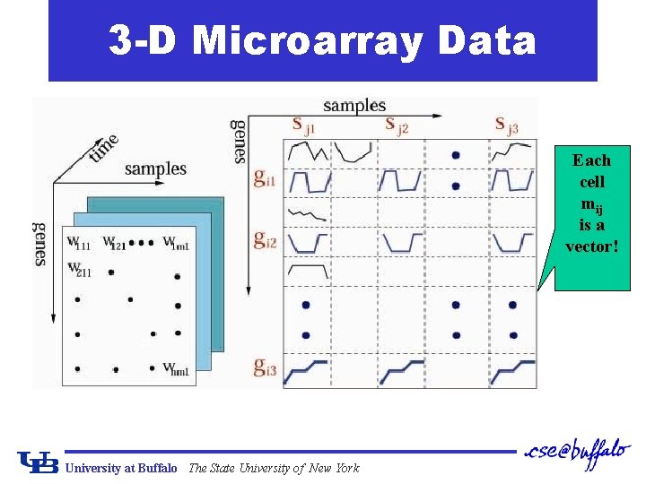 3 -D Microarray Data Each cell mij is a vector! University at Buffalo The