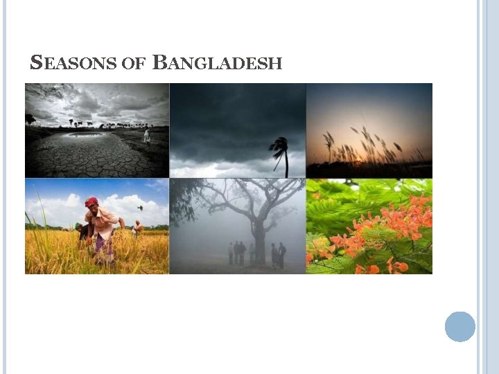 SEASONS OF BANGLADESH 