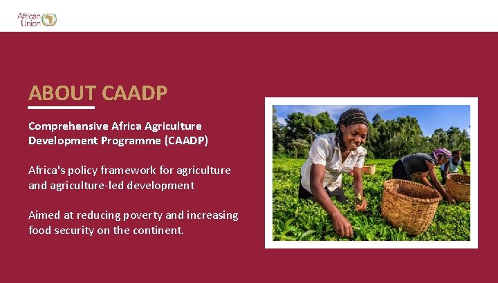 ABOUT CAADP Comprehensive Africa Agriculture Development Programme (CAADP) Africa's policy framework for agriculture and