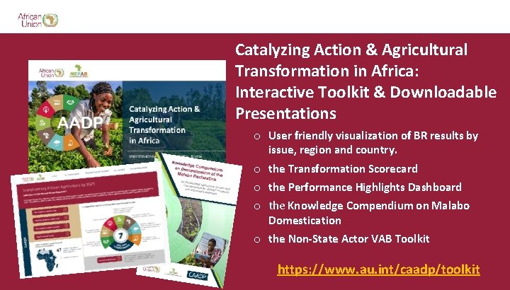 Catalyzing Action & Agricultural Transformation in Africa: Interactive Toolkit & Downloadable Presentations o User