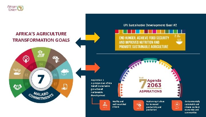 UN Sustainable Development Goal #2 AFRICA’S AGRICULTURE TRANSFORMATION GOALS v Aspiration 1 A prosperous