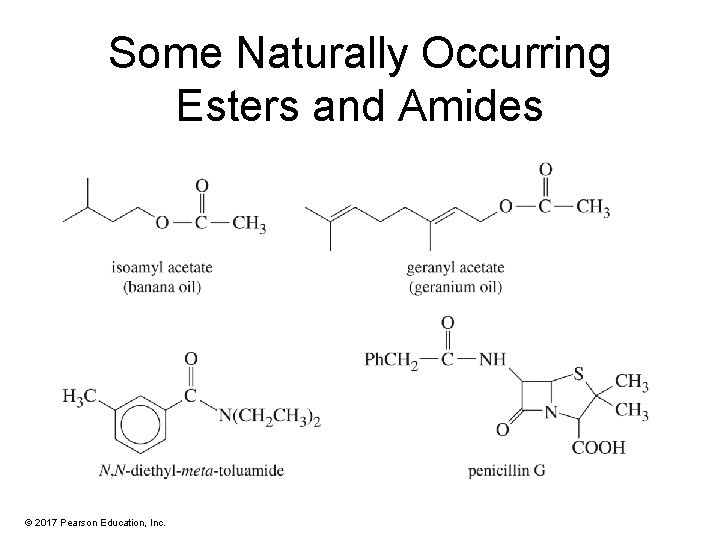 Some Naturally Occurring Esters and Amides © 2017 Pearson Education, Inc. 