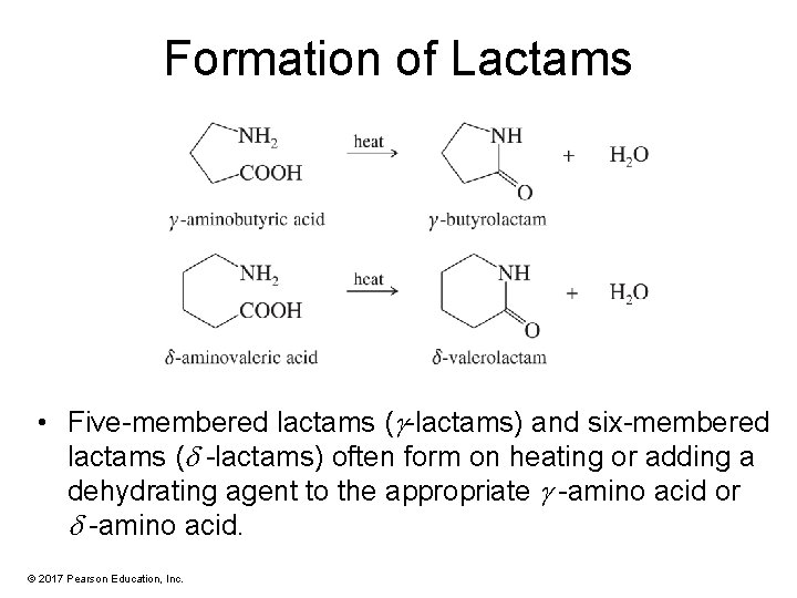 Formation of Lactams • Five-membered lactams ( -lactams) and six-membered lactams ( -lactams) often