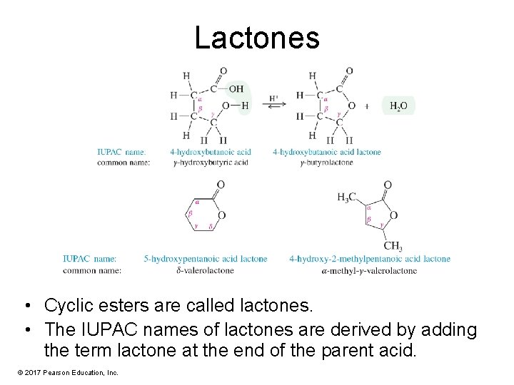 Lactones • Cyclic esters are called lactones. • The IUPAC names of lactones are