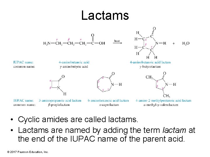 Lactams • Cyclic amides are called lactams. • Lactams are named by adding the