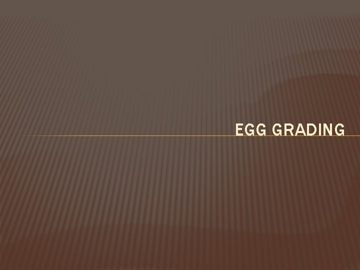 EGG GRADING 