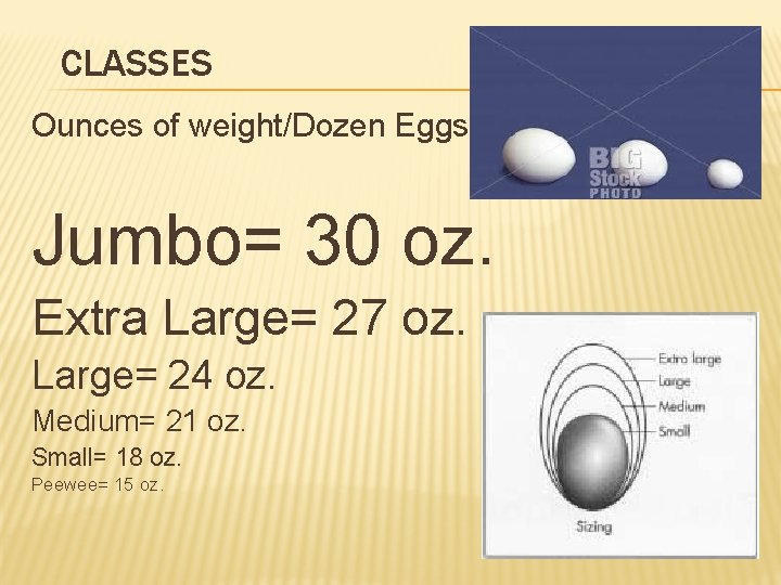 CLASSES Ounces of weight/Dozen Eggs Jumbo= 30 oz. Extra Large= 27 oz. Large= 24