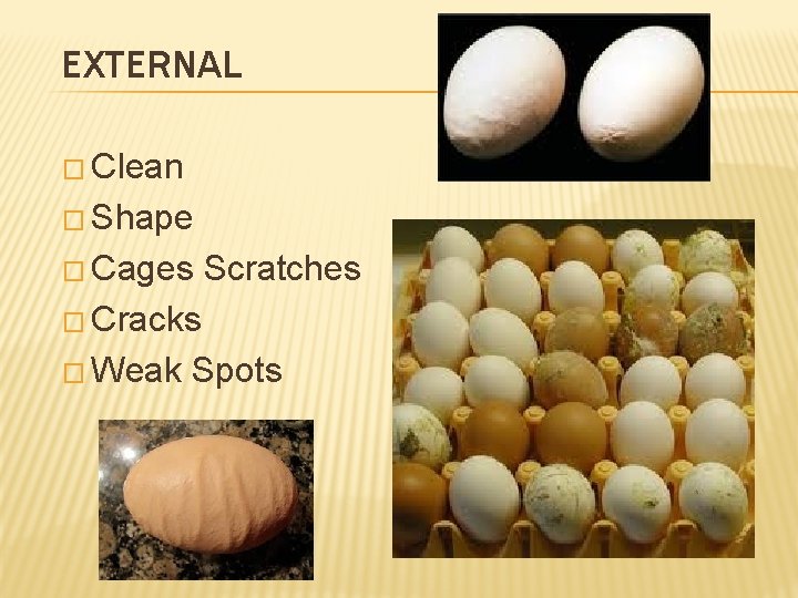 EXTERNAL � Clean � Shape � Cages Scratches � Cracks � Weak Spots 