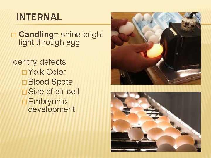 INTERNAL � Candling= shine bright light through egg Identify defects � Yolk Color �
