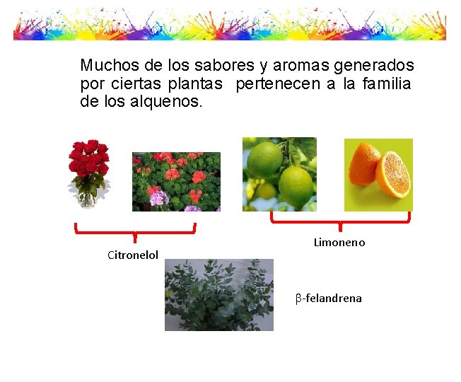 Muchos de los sabores y aromas generados por ciertas plantas pertenecen a la familia