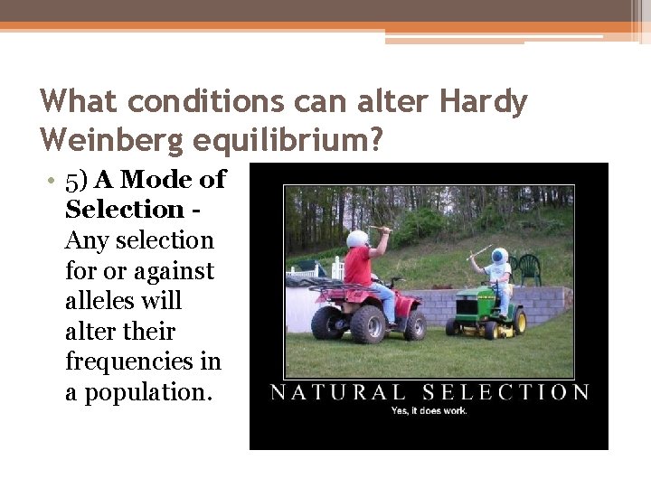 What conditions can alter Hardy Weinberg equilibrium? • 5) A Mode of Selection Any